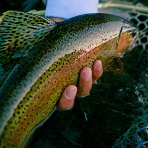 Charlie Conn - Executive Director, The Taimen Fund